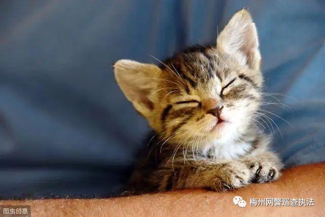 网警提醒谨防假冒网警实施诈骗,上海网警拆穿骗局