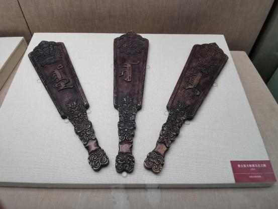 在草原上感受一下骑马的快乐,在草原奔跑是一种享受