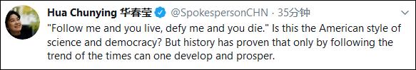 华春莹谈美式民主,华春莹说民主不应是可口可乐