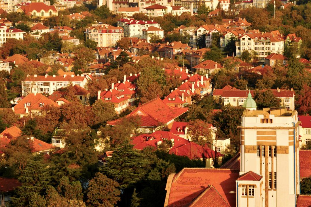 均温20℃的海滨老城，紫色泡桐花美得像国外，现在去性价比超高