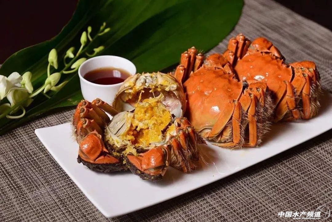 阳澄湖大闸蟹的真伪与安全,阳澄湖大闸蟹冒牌货多