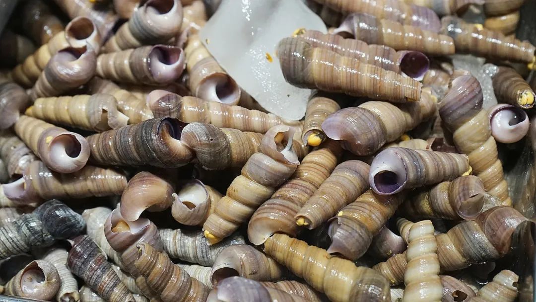 “浙C”注册不下来，愁坏温州老板娘！老乡老乡，真的是背后一枪？