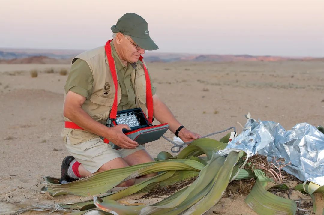 这样的鸟兽胖友圈,你见过吗?