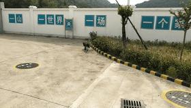 这样的鸟兽胖友圈,你见过吗?