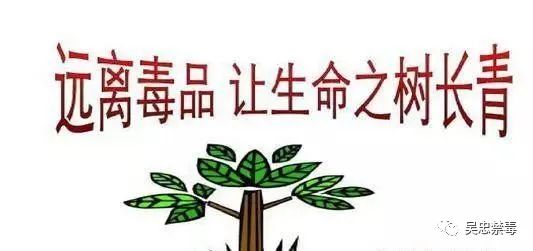 你必须知道这几个法律常识,禁毒宣传禁种铲毒这些知识要知道