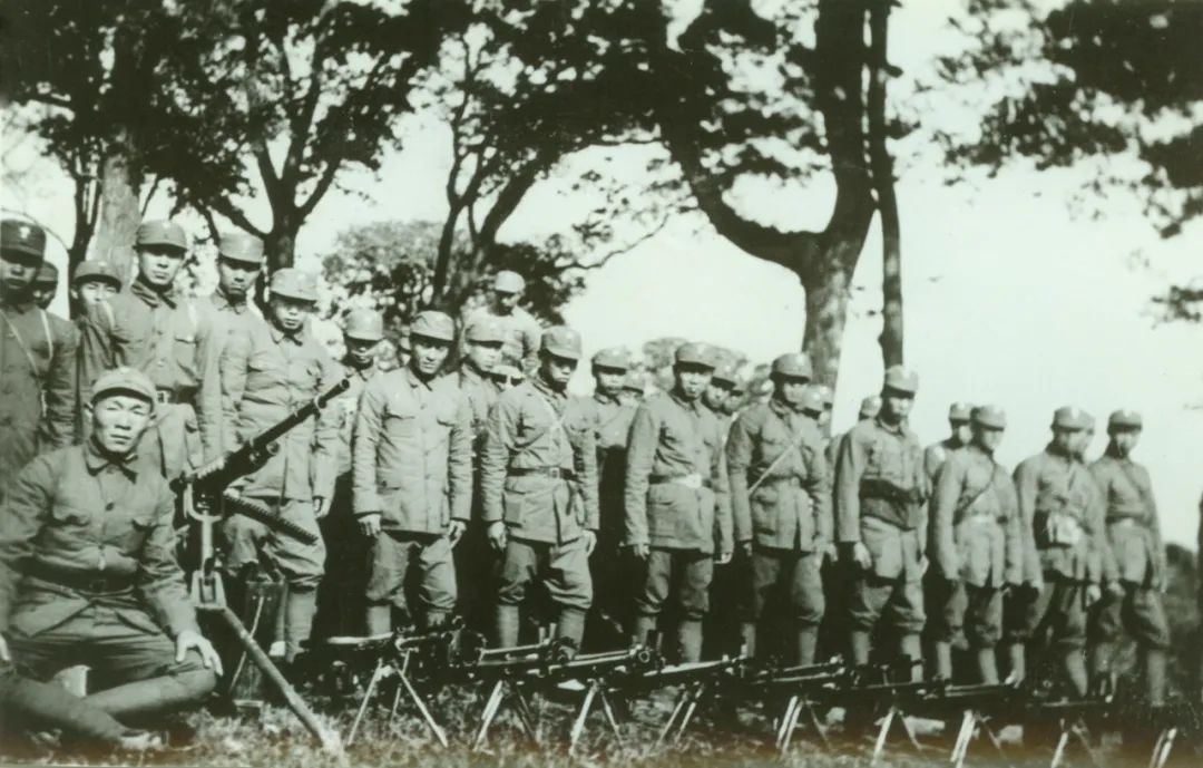 沙家浜前世今生的故事,沙家浜讲述了怎样的故事