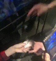 年轻人误食鱼身亡,食用鱼类中毒