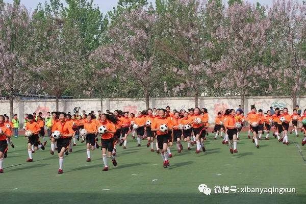 西已为常|错怪足协很多年（上）