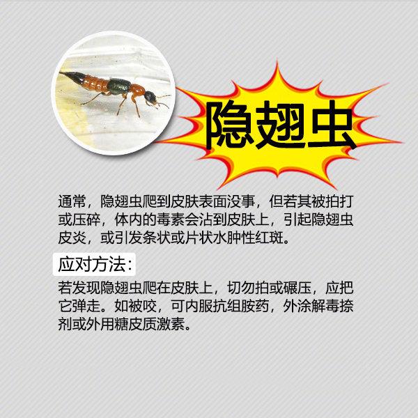 夏季防蚊虫叮咬常识温馨提示,夏天毒虫叮咬防虫手册