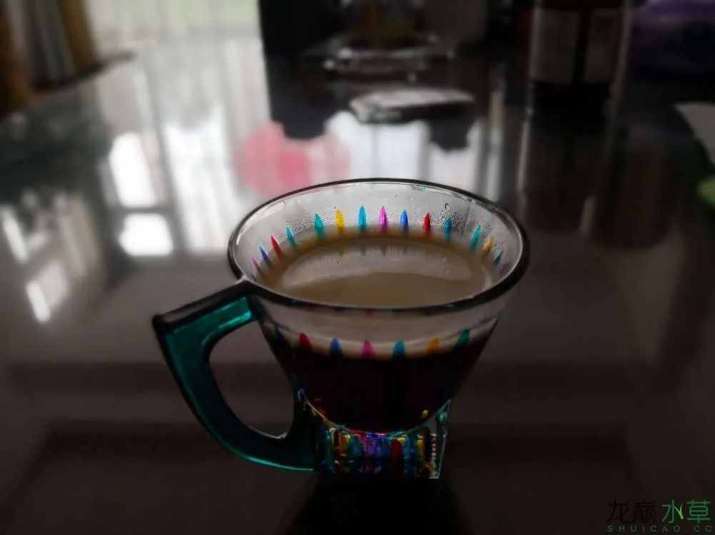 莫斯树草缸造景diy教程,不需要二氧化碳的草缸造景