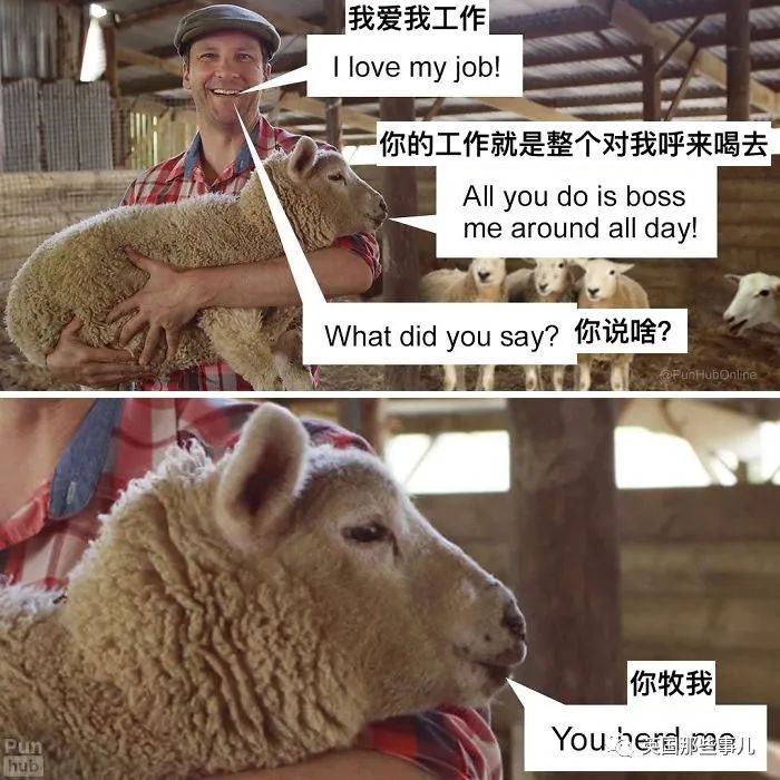 歪果仁冷笑话搞笑,歪果仁的搞笑撩人