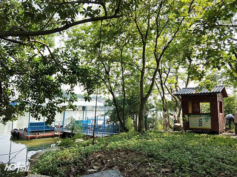 七星岩最新免费政策,肇庆市七星岩门票免费政策