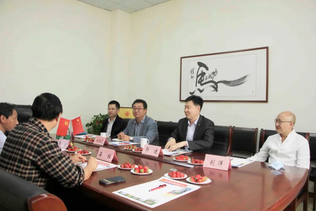 华通集团视察,华通集团领导