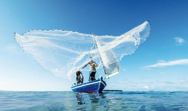 想买房的速速联系,想买房的人暂时别着急