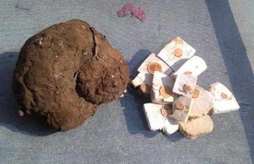 药师说药凉茶,中医谈龟苓膏