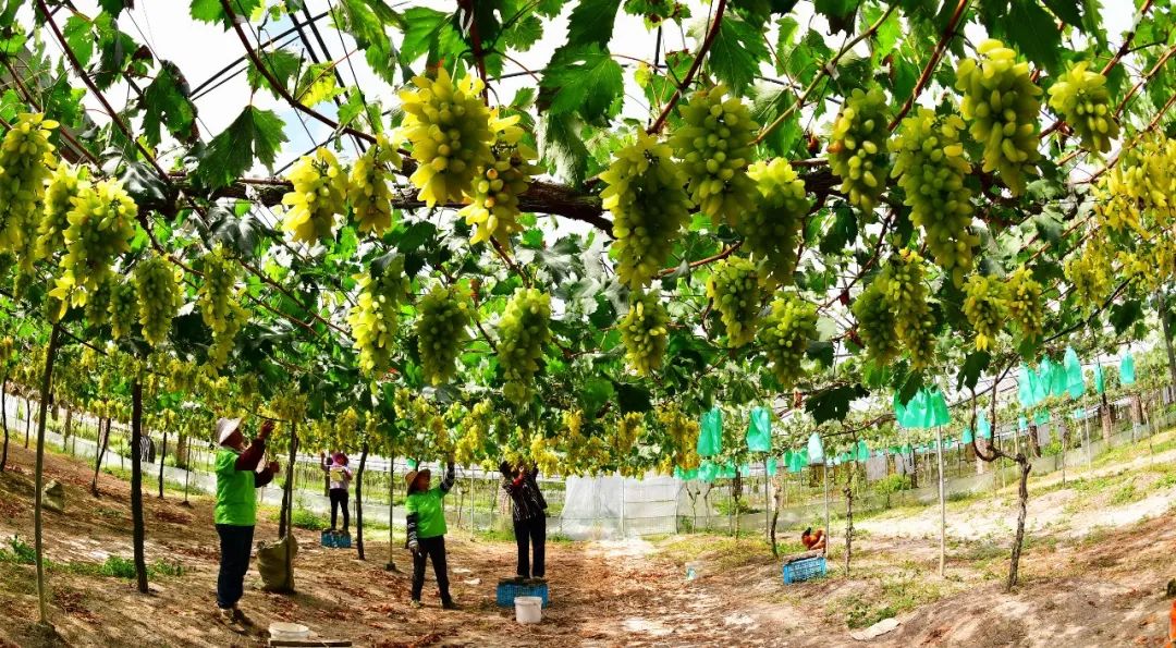 618超值好物瑜伽垫,618超值好物磨砂壳