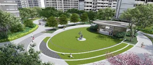 day9,day9的价目表