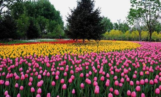 六一去哪里玩最好吉林,长春六一游玩好去处