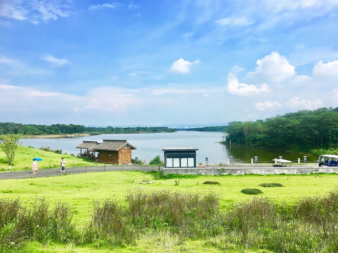 成都冷知识你不知道的华阳,成都冷知识有趣