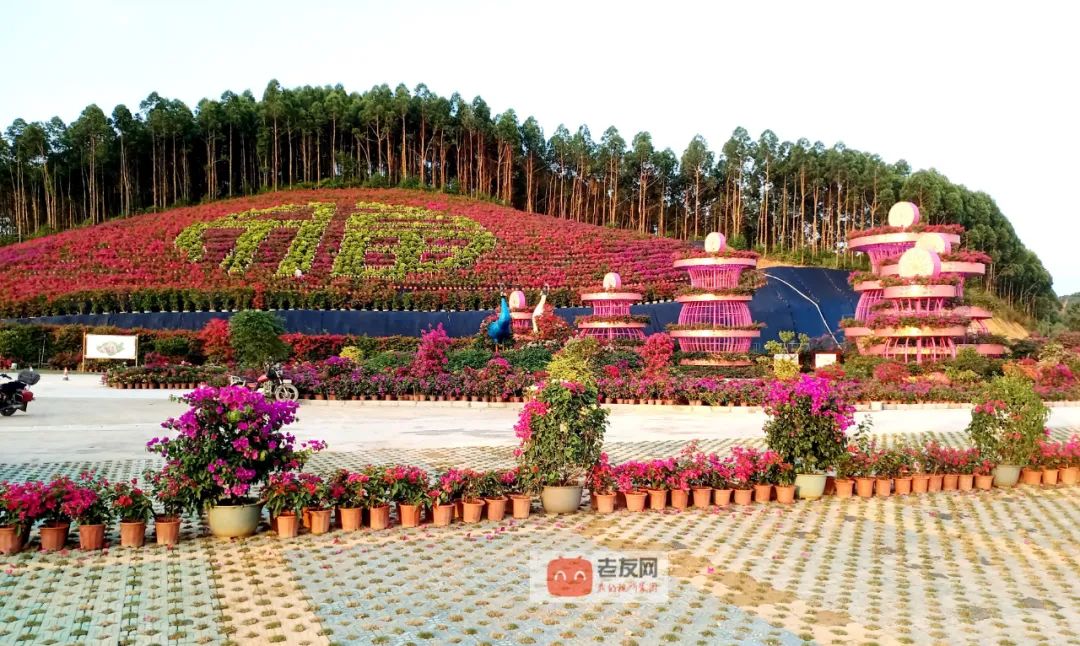 上林旅游免费景区,广西上林3a级景区