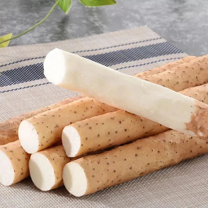 薏仁可以健脾祛湿吗,薏米能治脾胃湿热吗