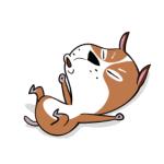 严正声明完整版,严正声明和律师函