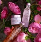 fresh馥蕾诗玫瑰精华100ml,fresh馥蕾诗滋润护唇膏玫瑰