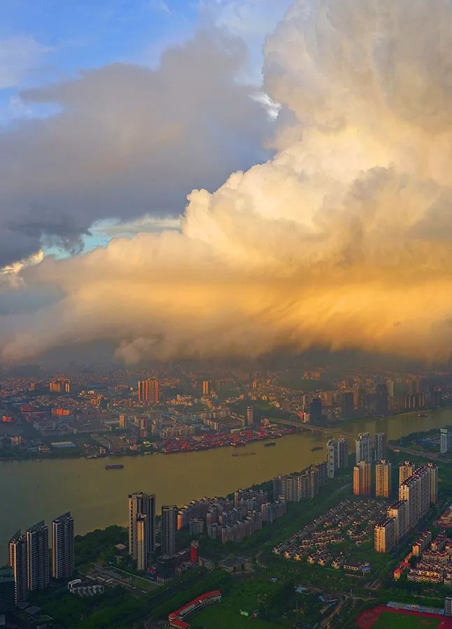 这里是广东,走进顺德