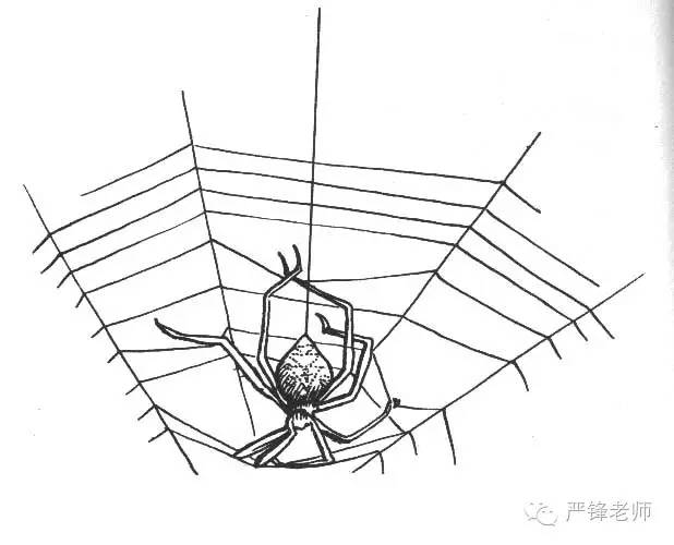 严锋的书单推荐,严锋必读书