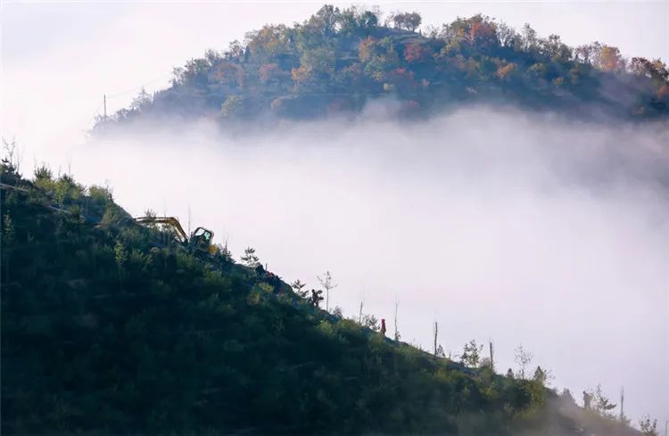 再造子午岭,再造一个子午岭有效吗