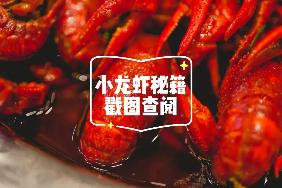 印度街头爆款小吃大全,13个爆款街头小吃创业项目pdf