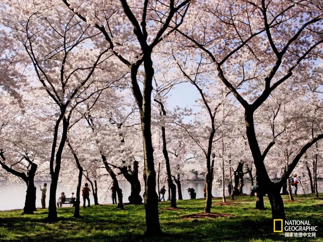 芒种至仲夏始人生丰收时,芒种至仲夏始介绍