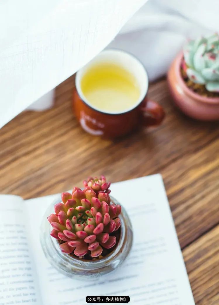 专注于自己喜欢的事情,专注于自己喜爱的事情