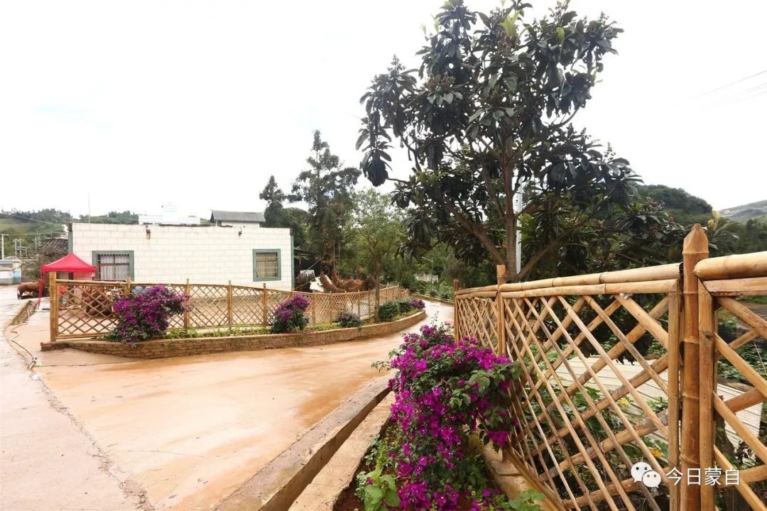 小苹果到底有多厉害,蒙自市苹果小镇