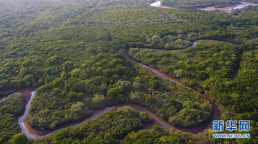 世界海洋日感知海洋保护海洋,世界海洋日保卫海岸
