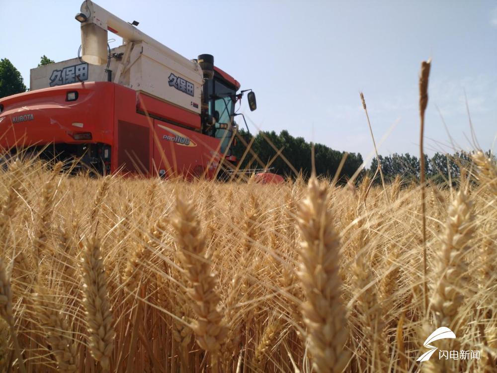 收种一条龙！济宁兖州区智慧农机助力三夏生产