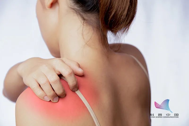 别人坐热的板凳可以立马坐吗？用公共马桶会传染疾病吗？