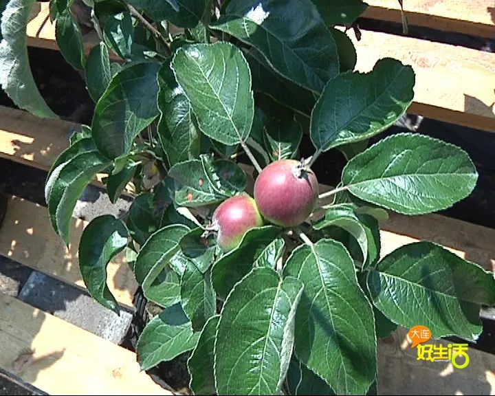 近郊亲子农场有哪些地方,亲子休闲农场