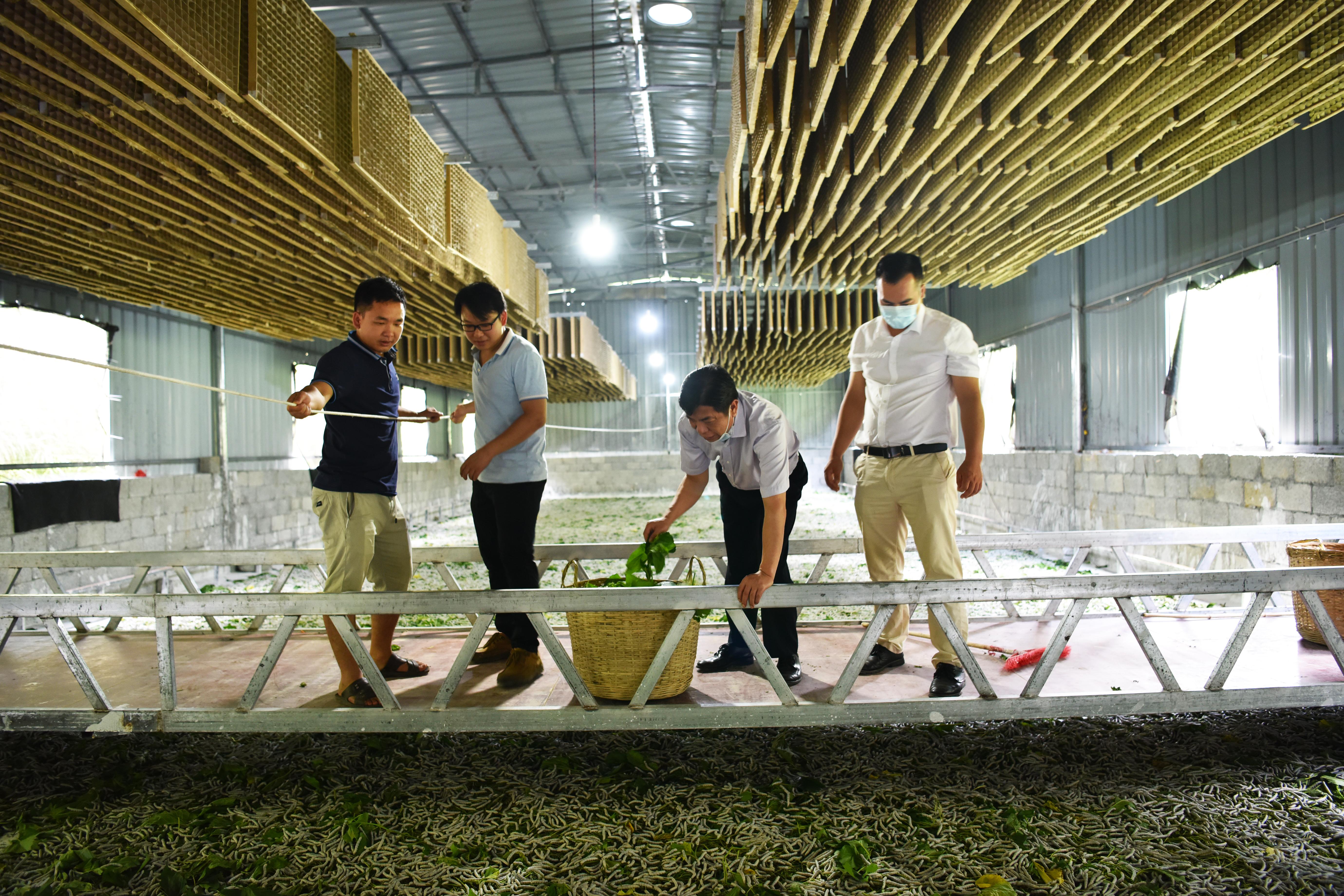 广西投资集团投资开发项目,广西投资集团协同发展