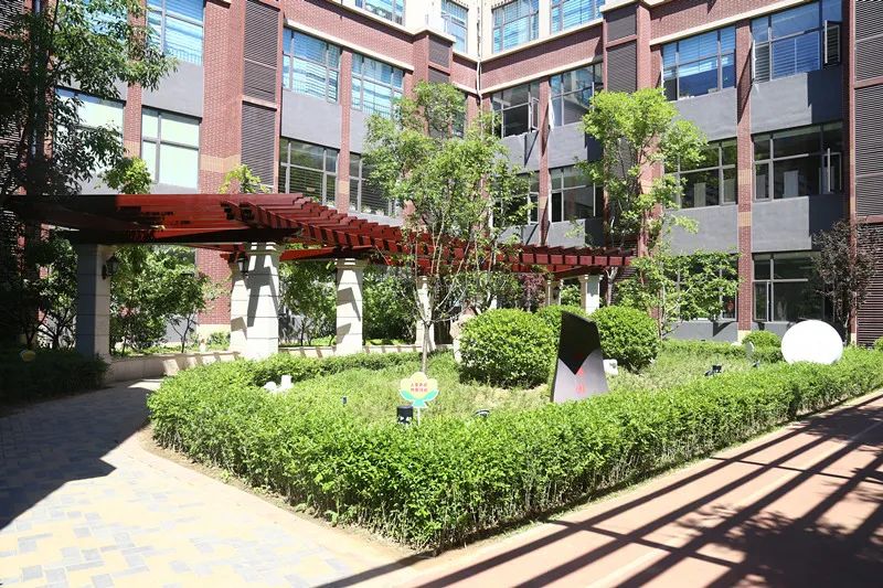 海淀学校都是“宝”，我们带您“云”探校|第二辑