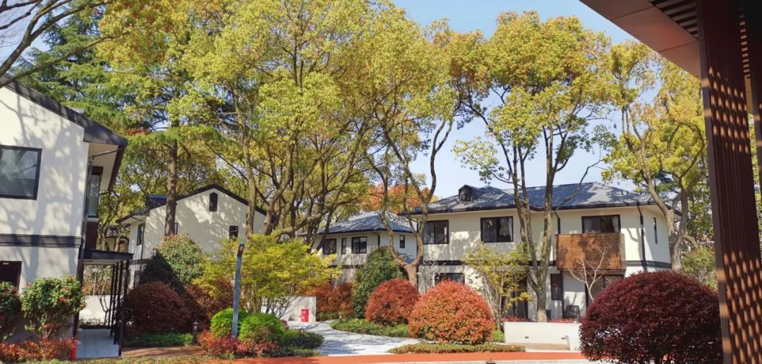 中国最独特的小镇,上海闵行有座美丽之谷