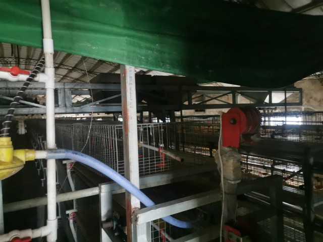 莱州珠江村镇银行股份有限公司,莱州珠江村镇银行靠谱吗