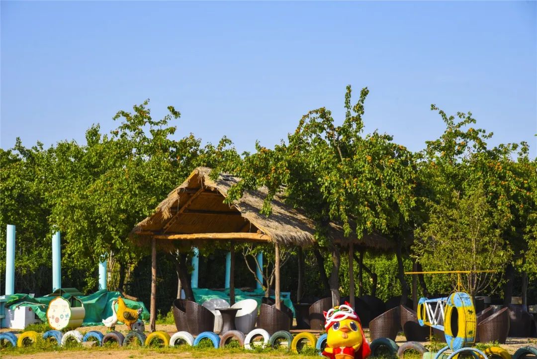 奔跑吧，小骑士！浪漫花彩小镇来场萌趣十足的比赛吧~