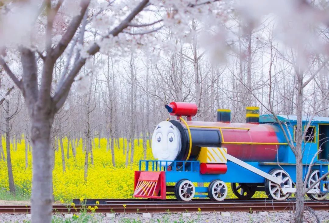 奔跑吧，小骑士！浪漫花彩小镇来场萌趣十足的比赛吧~