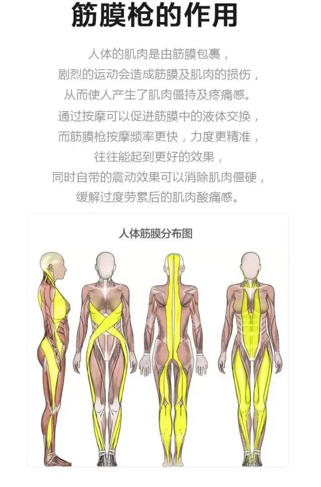 明星用筋膜枪,运动员都用什么牌子的筋膜枪