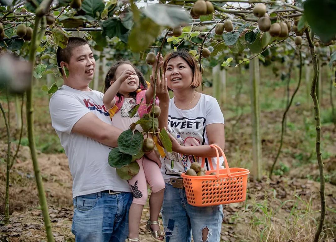 多彩新区|贵平，在那桃花盛开的地方！