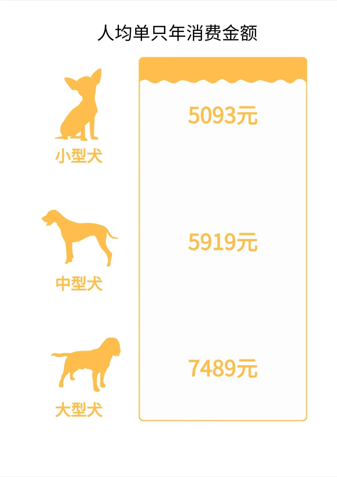 后浪有什么估值,后浪赚了多少钱