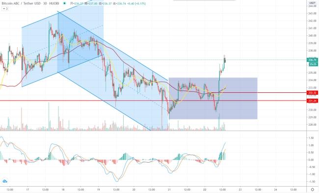 新币汇率走势预测,新币汇率走势预测12月还会跌吗