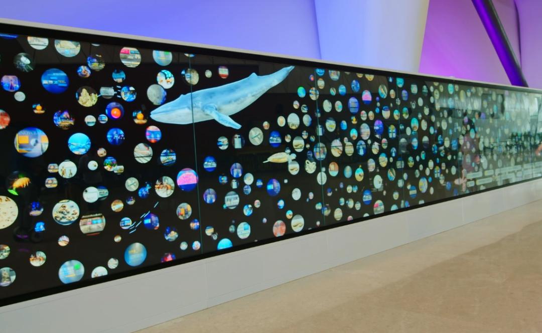 云上天津，智慧天下，如何用智慧“玩转”国家海洋博物馆？