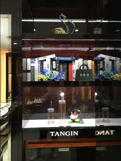 瑞士天珺皮表带,瑞士天珺表logo图片